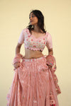 Tulip Pink Lehenga Set with Hand Embroidery