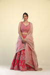 Raspberry Red Lehenga Set with Embroidery