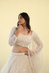 Pastel Cream Embroidery Lehenga Set