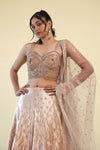 Gold Floral  Butti Lehenga Set with Hand Embroidery