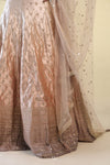 Gold Floral  Butti Lehenga Set with Hand Embroidery