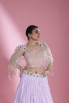 Lavender Lehenga Set with Hand Embroidery