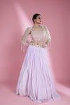 Lavender Lehenga Set with Hand Embroidery