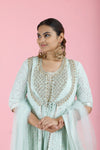 Light Mint Green Embroidered Georgette Gown