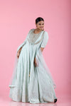Light Mint Green Embroidered Georgette Gown