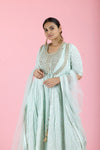 Light Mint Green Embroidered Georgette Gown