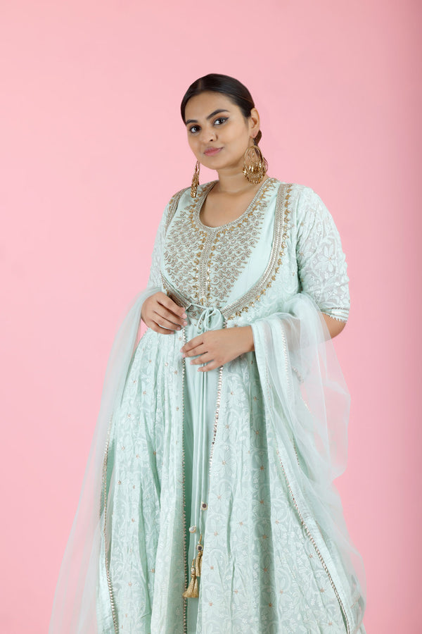 Light Mint Green Embroidered Georgette Gown