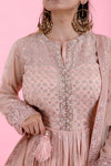 Pale Pink Embroidered Georgette Dress