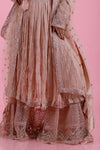 Pale Pink Embroidered Georgette Dress