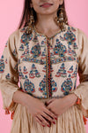 Light Cream Georgette Gown With Floral Embroidery