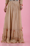 Light Cream Georgette Gown With Floral Embroidery