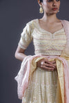 Pastel Yellow Embroidered Lehenga Set