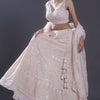 Pale Pink Embroidered Lehenga Set