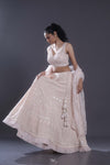 Pale Pink Embroidered Lehenga Set