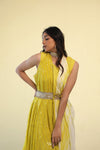 Pear Green Indo Western Dress With Hand Embroidery
