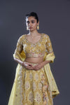 Flax Yellow Embroidered Lehenga Set
