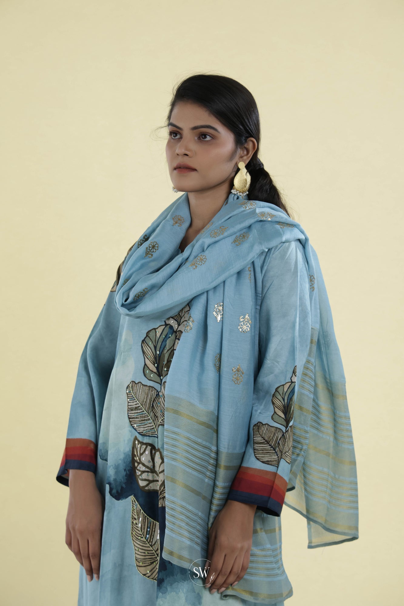 Light Sky Blue Printed Straight Suit Set With Floral Design