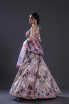 Lace Pink Embroidered Lehenga Set