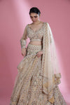 Light Beige Bridal Lehenga Set With Hand Embroidery