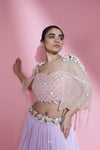 Pale Purple Lehenga Set With Hand Embroidery