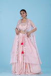 Baby Pink Georgette Lehenga With Mirror Embroidery