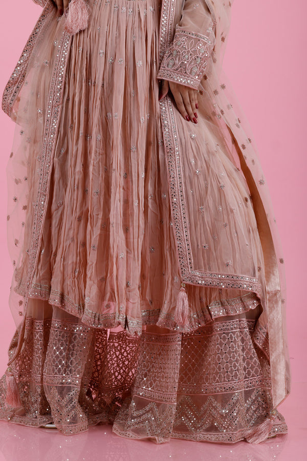 Pale Pink Embroidered Georgette Dress