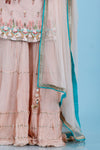 Light Pastel Pink Georgette Dress With Floral Embroidery