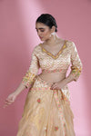 Pale Yellow Lehenga Set With Hand Embroidery